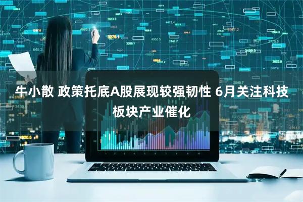 牛小散 政策托底A股展现较强韧性 6月关注科技板块产业催化