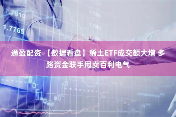 通盈配资 【数据看盘】稀土ETF成交额大增 多路资金联手甩卖百利电气