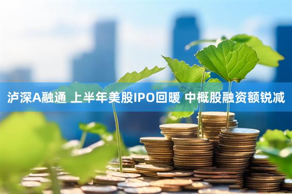 泸深A融通 上半年美股IPO回暖 中概股融资额锐减