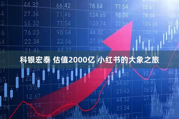 科银宏泰 估值2000亿 小红书的大象之旅