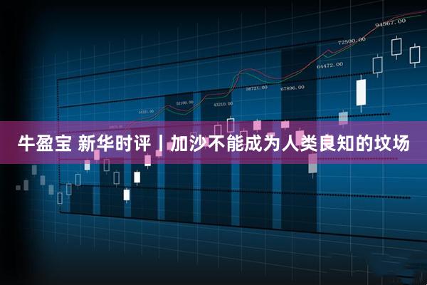 牛盈宝 新华时评丨加沙不能成为人类良知的坟场