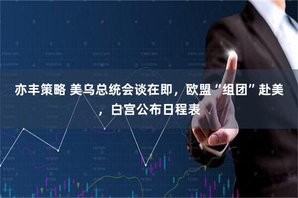 亦丰策略 美乌总统会谈在即，欧盟“组团”赴美，白宫公布日程表