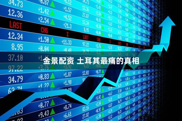 金景配资 土耳其最痛的真相