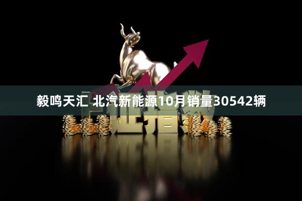 毅鸣天汇 北汽新能源10月销量30542辆